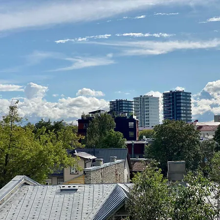 Elegance - Centre Free Parking 아파트 탈린